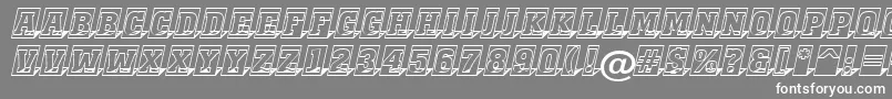 AMonumentottlcm3Dsh Font – White Fonts on Gray Background