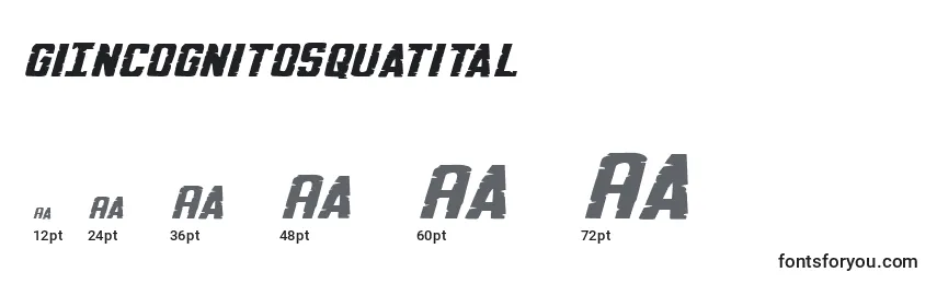 GiIncognitosquatital Font Sizes