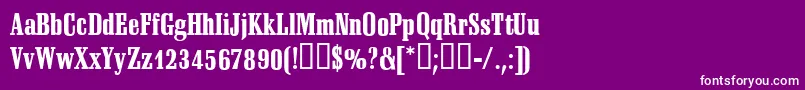 SheridanRegular Font – White Fonts on Purple Background