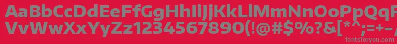 EncodesanswideExtrabold Font – Gray Fonts on Red Background