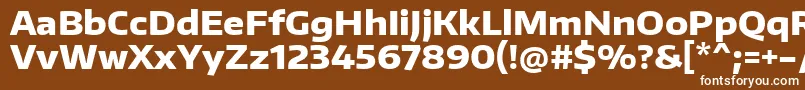 EncodesanswideExtrabold Font – White Fonts on Brown Background