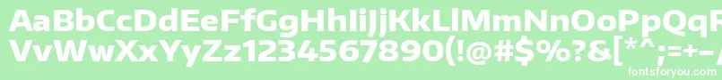 EncodesanswideExtrabold Font – White Fonts on Green Background