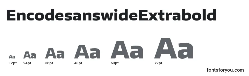 Größen der Schriftart EncodesanswideExtrabold