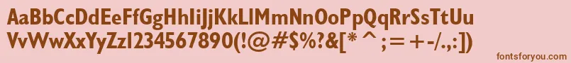 Humanist521BoldCondensedBt Font – Brown Fonts on Pink Background