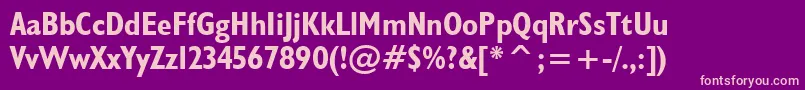 Humanist521BoldCondensedBt-Schriftart – Rosa Schriften auf violettem Hintergrund