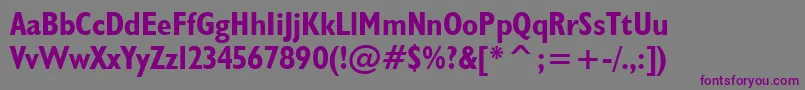 Humanist521BoldCondensedBt Font – Purple Fonts on Gray Background