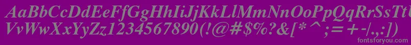 ThamescBolditalic Font – Gray Fonts on Purple Background