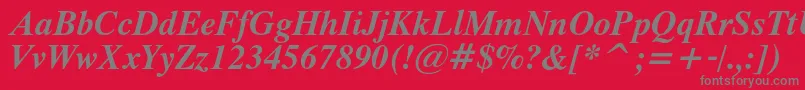 ThamescBolditalic Font – Gray Fonts on Red Background