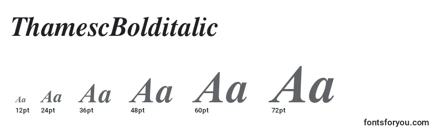 ThamescBolditalic Font Sizes