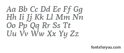 PfagoraserifproMediumitalic-fontti
