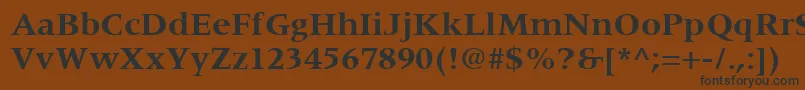 Czcionka CoherentSsiBold – czarne czcionki na brązowym tle