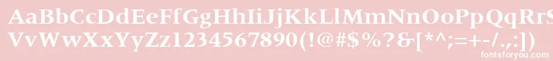 CoherentSsiBold Font – White Fonts on Pink Background