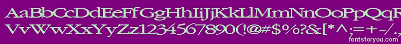 Elvissaxhorn45Bold Font – Green Fonts on Purple Background