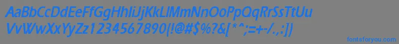 ErgoecondensedBoldItalic Font – Blue Fonts on Gray Background