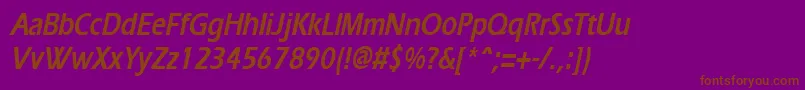 ErgoecondensedBoldItalic Font – Brown Fonts on Purple Background