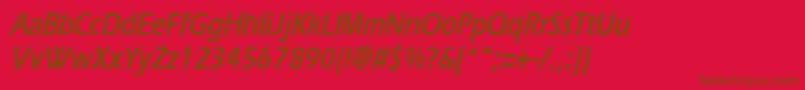 ErgoecondensedBoldItalic Font – Brown Fonts on Red Background