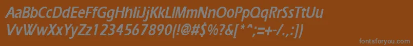 Шрифт ErgoecondensedBoldItalic – серые шрифты на коричневом фоне