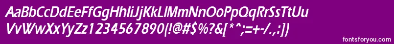 ErgoecondensedBoldItalic Font – White Fonts on Purple Background