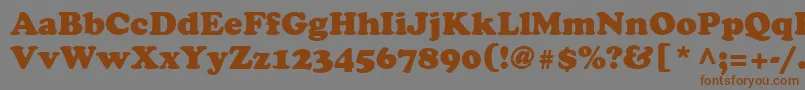 CooperLtBlack Font – Brown Fonts on Gray Background
