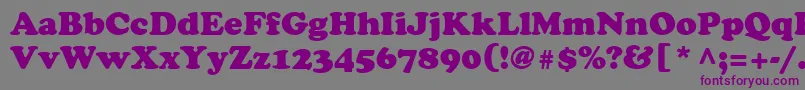 CooperLtBlack Font – Purple Fonts on Gray Background