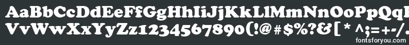 CooperLtBlack Font – White Fonts on Black Background