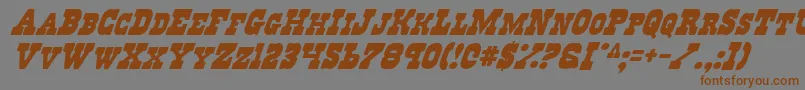 RegulatorsItalic Font – Brown Fonts on Gray Background