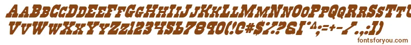 RegulatorsItalic Font – Brown Fonts on White Background