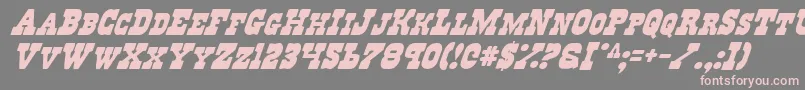 RegulatorsItalic Font – Pink Fonts on Gray Background