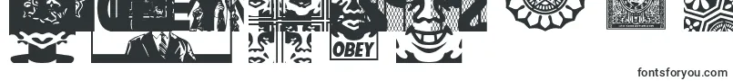 ObeyassortyCaps Font – People Fonts