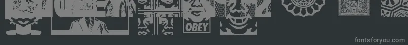 ObeyassortyCaps Font – Gray Fonts on Black Background