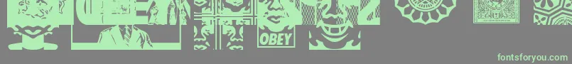 ObeyassortyCaps Font – Green Fonts on Gray Background