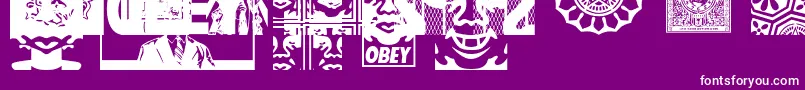 ObeyassortyCaps Font – White Fonts on Purple Background