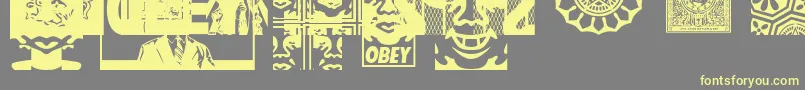 ObeyassortyCaps Font – Yellow Fonts on Gray Background