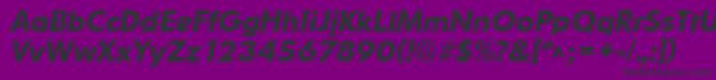 OrnitonsBoldItalic Font – Black Fonts on Purple Background