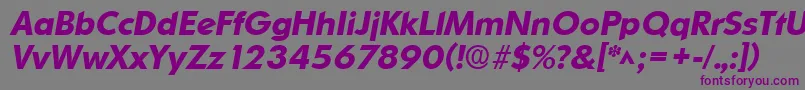 OrnitonsBoldItalic-Schriftart – Violette Schriften auf grauem Hintergrund