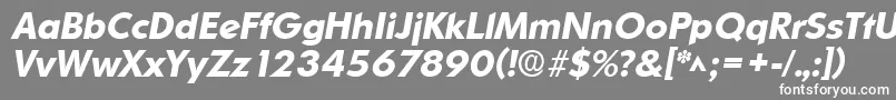 フォントOrnitonsBoldItalic – 灰色の背景に白い文字