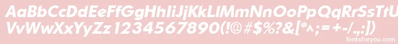 OrnitonsBoldItalic Font – White Fonts on Pink Background