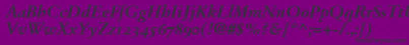 StempelGaramondBoldItalicOldstyleFigures Font – Black Fonts on Purple Background