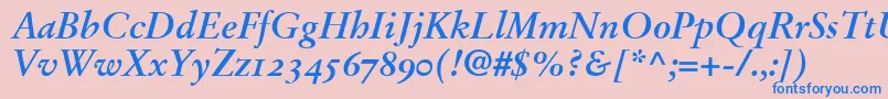 StempelGaramondBoldItalicOldstyleFigures Font – Blue Fonts on Pink Background