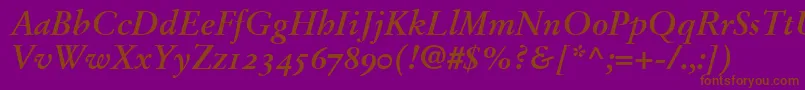 StempelGaramondBoldItalicOldstyleFigures Font – Brown Fonts on Purple Background