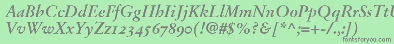 StempelGaramondBoldItalicOldstyleFigures Font – Gray Fonts on Green Background