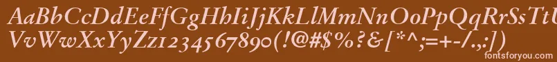 StempelGaramondBoldItalicOldstyleFigures Font – Pink Fonts on Brown Background