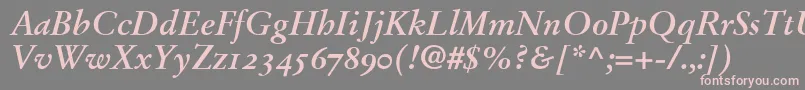 StempelGaramondBoldItalicOldstyleFigures Font – Pink Fonts on Gray Background