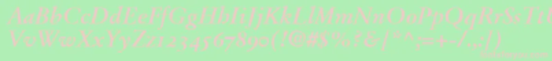 StempelGaramondBoldItalicOldstyleFigures Font – Pink Fonts on Green Background