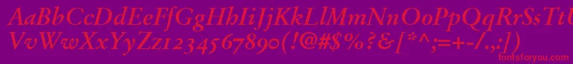 StempelGaramondBoldItalicOldstyleFigures Font – Red Fonts on Purple Background