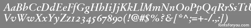 StempelGaramondBoldItalicOldstyleFigures Font – White Fonts on Gray Background