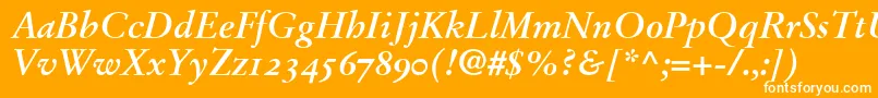 StempelGaramondBoldItalicOldstyleFigures Font – White Fonts on Orange Background