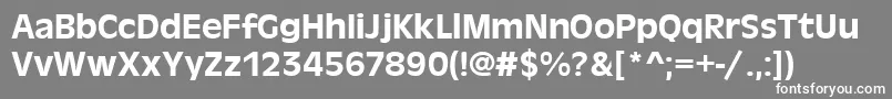 Antiqueolitmed Font – White Fonts on Gray Background