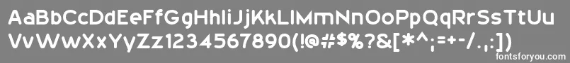 フォント20thCenturyFont – 灰色の背景に白い文字