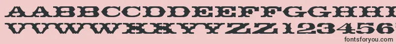 Thunderbirddreg Font – Black Fonts on Pink Background